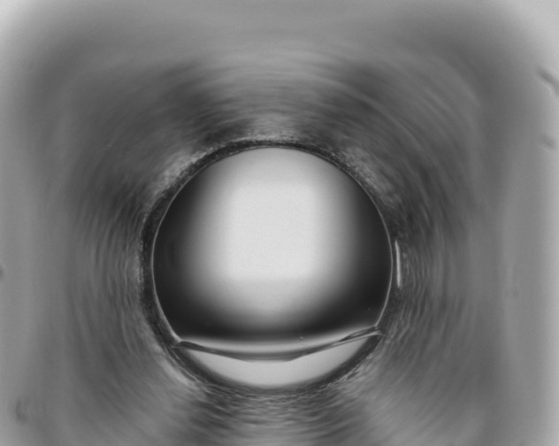 X0000095880252200801251146