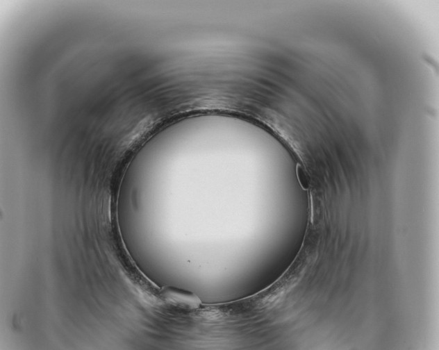 X0000095880253200801251146