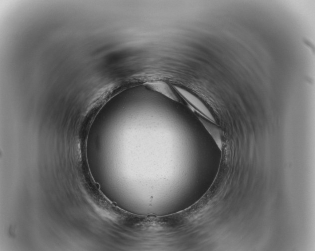 X0000095880254200801251146