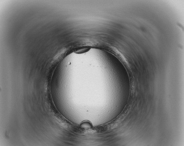 X0000095880257200801251146