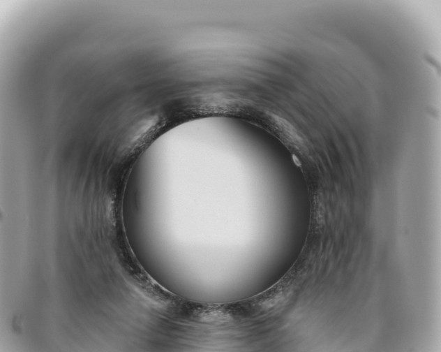 X0000095880258200801251146