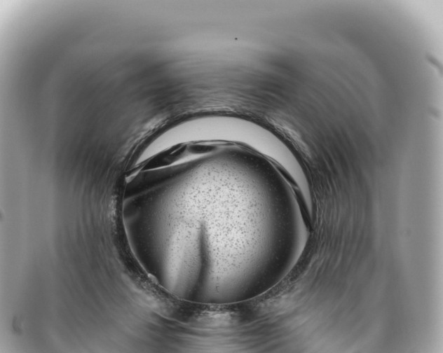 X0000095880260200801251146