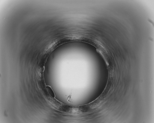 X0000095880264200801251147