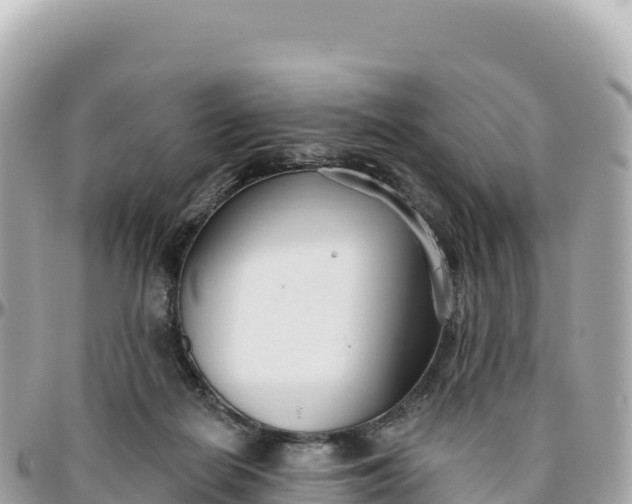 X0000095880266200801251147