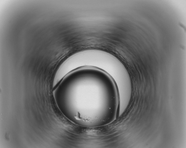 X0000095880268200801251147