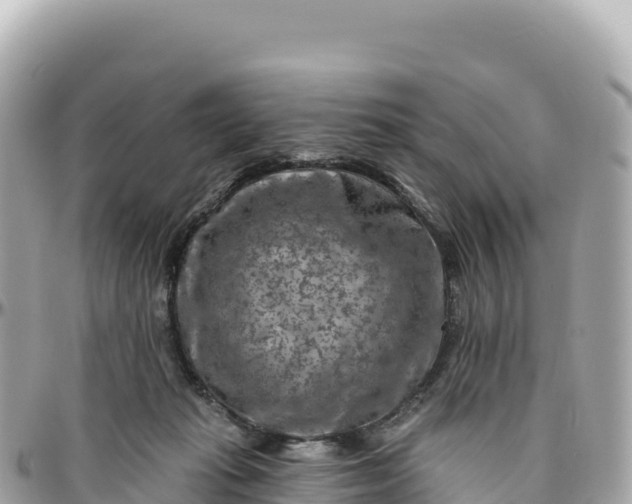 X0000095880269200801251147