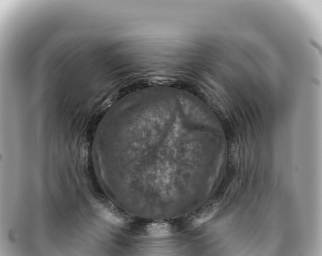 X0000095880271200801251147