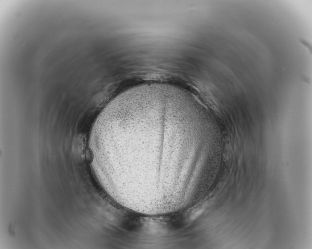 X0000095880273200801251147