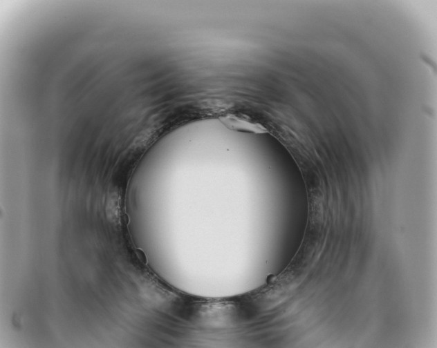 X0000095880274200801251147