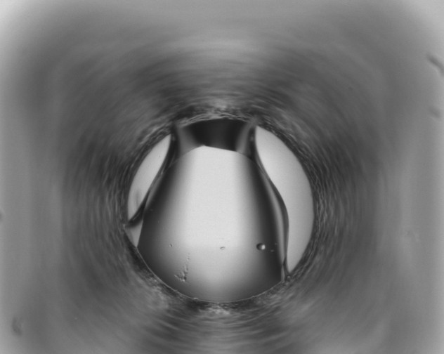 X0000095880276200801251147