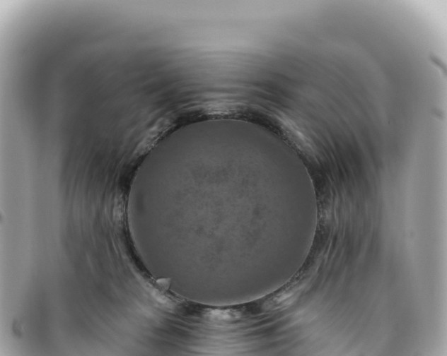 X0000095880277200801251147