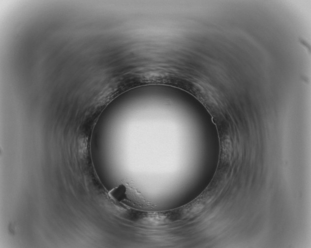 X0000095880278200801251147