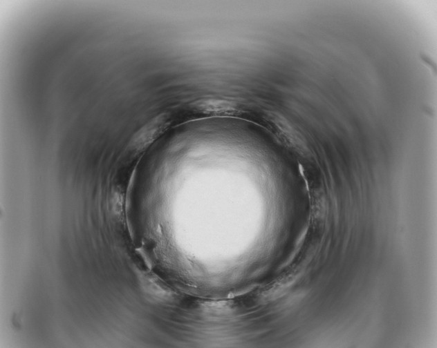 X0000095880281200801251147