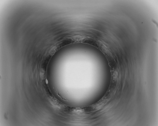 X0000095880283200801251147