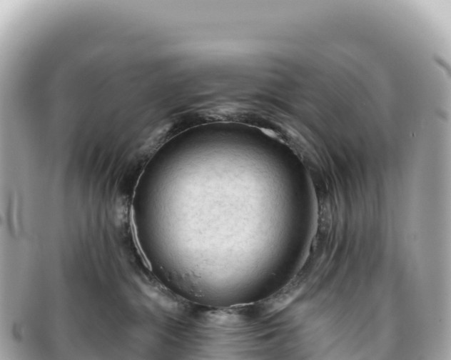 X0000095880284200801251147