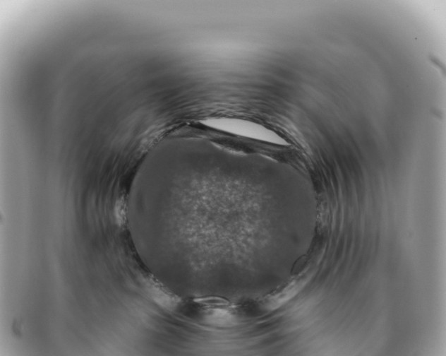 X0000095880285200801251147