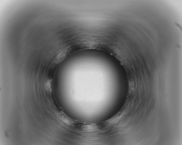 X0000095880286200801251147