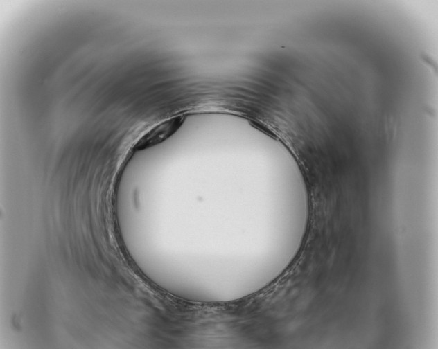 X0000095880289200801251146