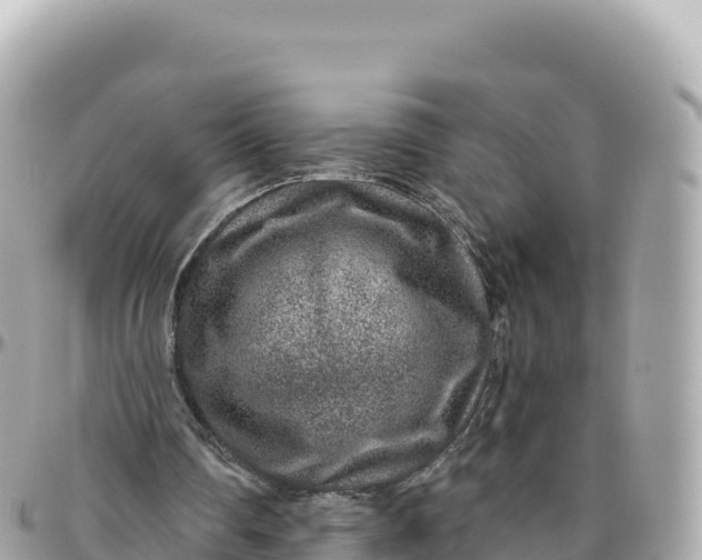 X0000095880290200801251146