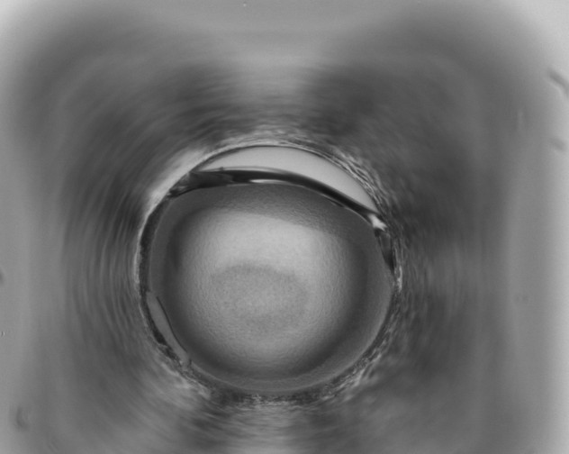 X0000095880292200801251146