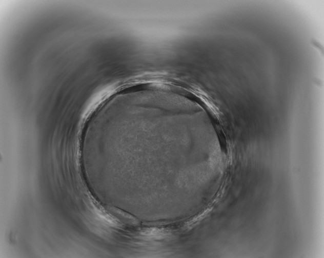 X0000095880293200801251146