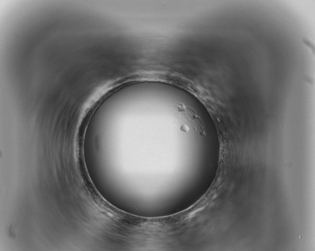 X0000095880294200801251146