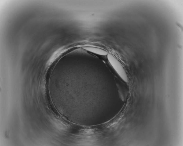 X0000095880295200801251146