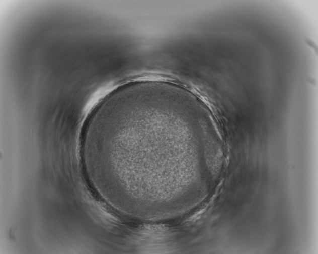 X0000095880296200801251146