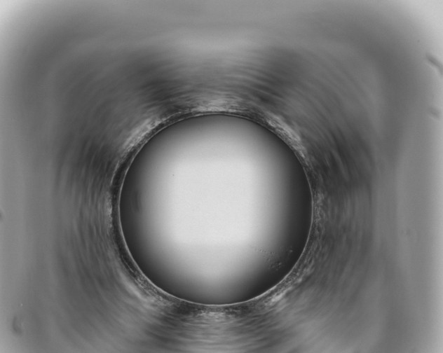 X0000095880298200801251146