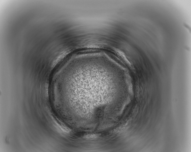 X0000095880299200801251146