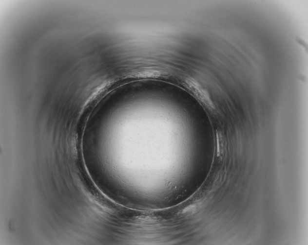 X0000095880300200801251146