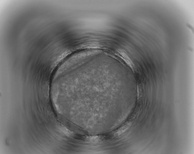 X0000095880301200801251146