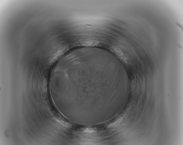 X0000095880303200801251146