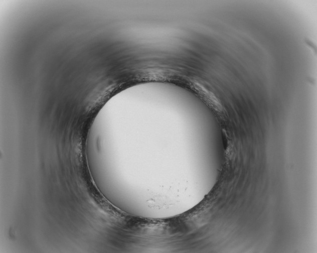 X0000095880306200801251146