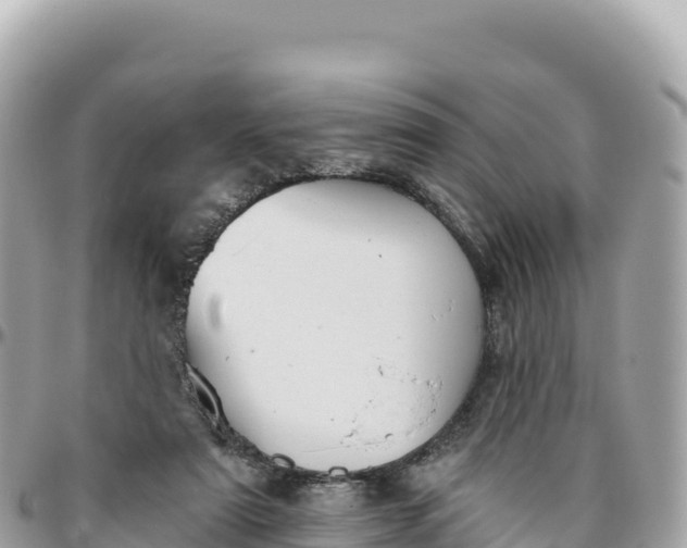 X0000095880307200801251146