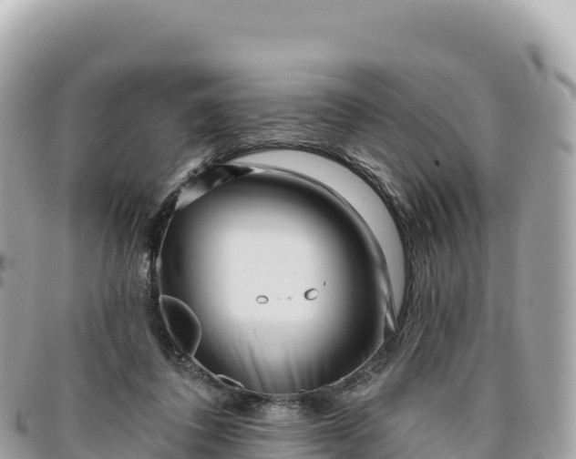 X0000095880308200801251146