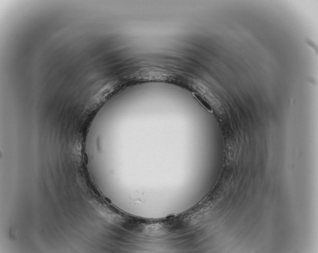 X0000095880309200801251146