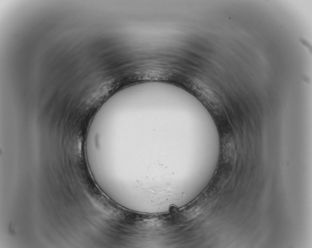 X0000095880310200801251146