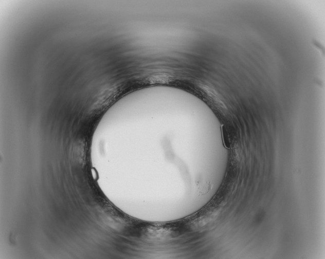 X0000095880311200801251146