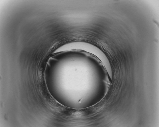 X0000095880312200801251146