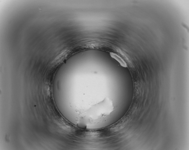 X0000095880313200801251146