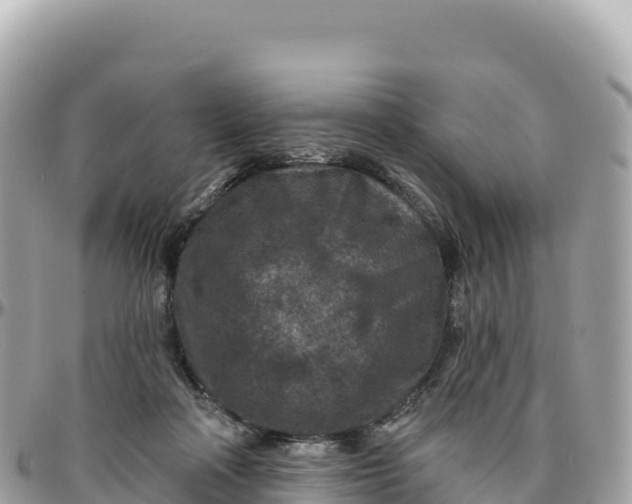 X0000095880314200801251146