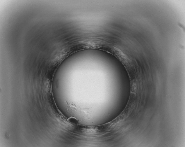 X0000095880318200801251146