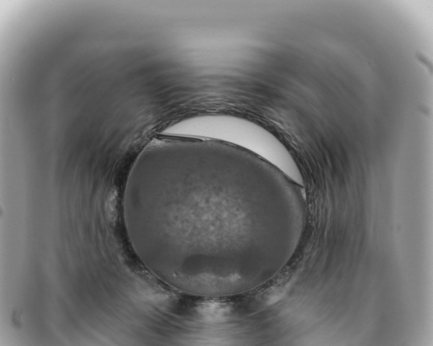 X0000095880319200801251146