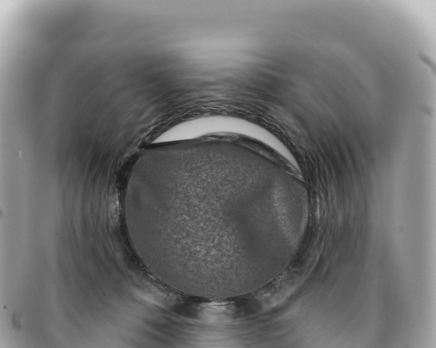 X0000095880320200801251146