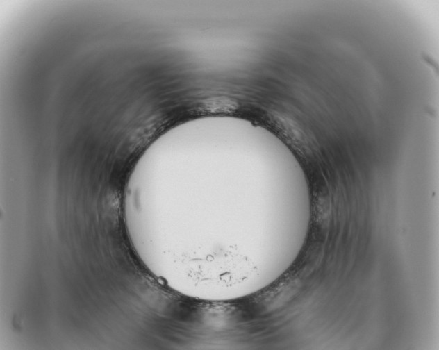 X0000095880321200801251146