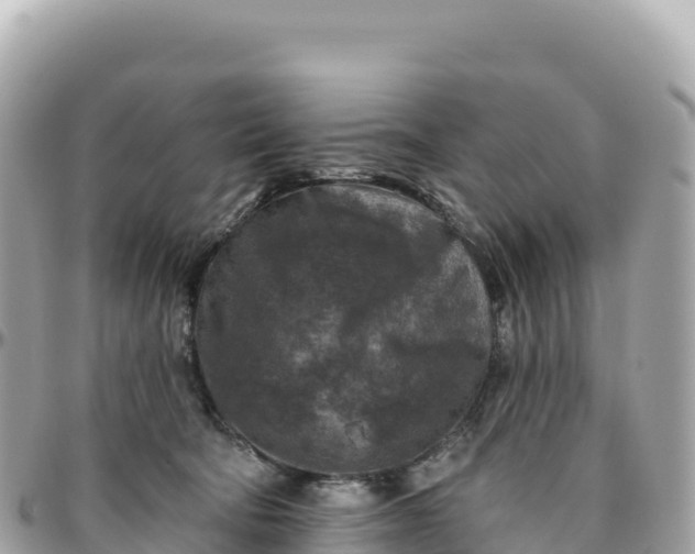 X0000095880322200801251146