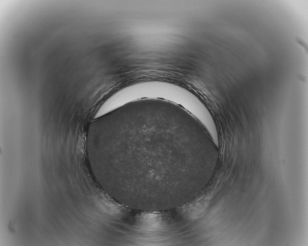 X0000095880325200801251146