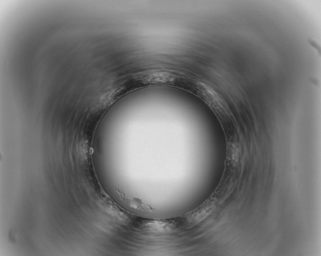 X0000095880326200801251146