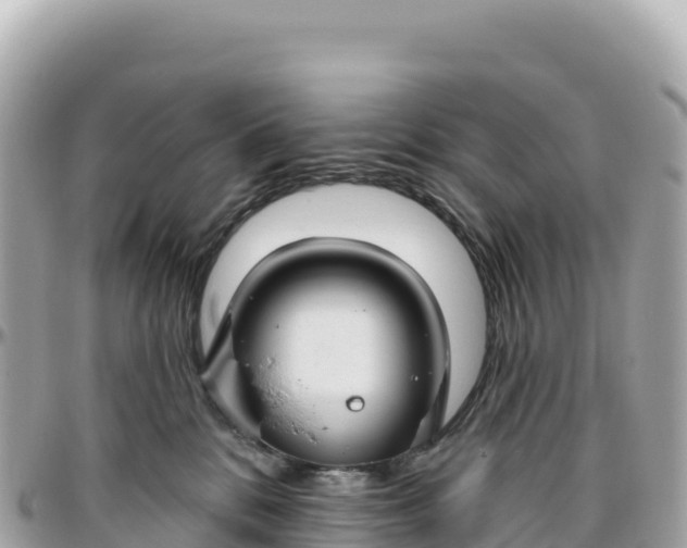 X0000095880328200801251146